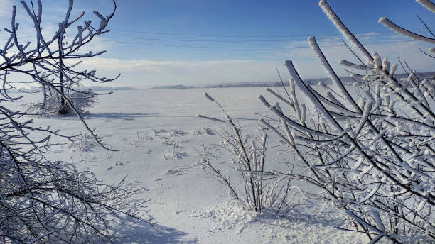 istock Winter landscape with snow covered trees. Snow field. 1127809622