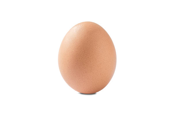 istock Chicken egg on a white background. Egg close-up for designers. 1127810612