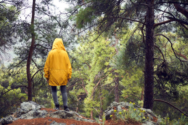 istock Woman With Backpack Hiking In The Forest 1127811975