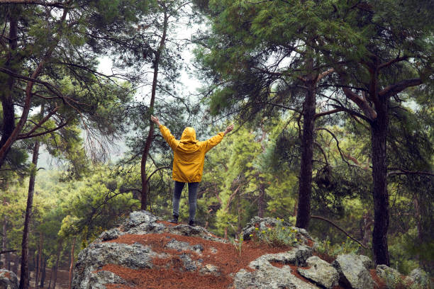 istock Woman With Backpack Hiking In The Forest 1127811981