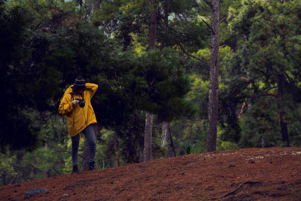 istock Female Hiker Photographing in Forest 1127812028