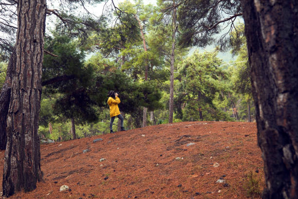 istock Female Hiker Photographing in Forest 1127812057