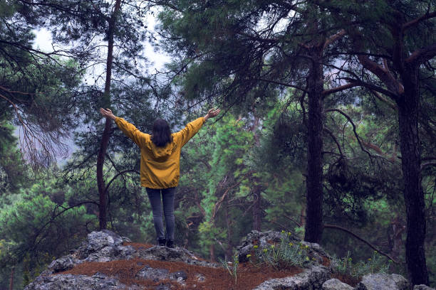 istock Woman With Backpack Hiking In The Forest 1127812087