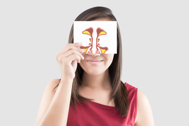 Smiling woman hold sinus picture on white paper on the gray background Smiling woman hold sinus picture on white paper on the gray background, Portrait of beautiful woman in the red shirt holding paper in her hand against the gray background septum stock pictures, royalty-free photos & images