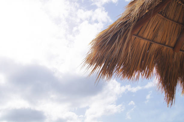 istock Thatched Roof with Cloudy Sky Background 1127815127