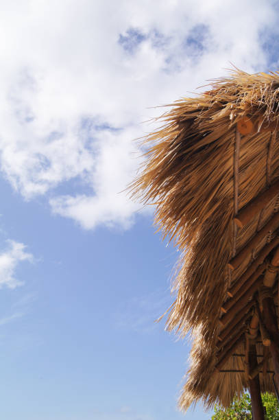 istock Grass Hut, Thatched Roof with Cloudy Sky Background 1127815563