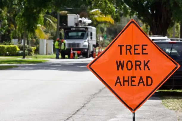 Photo of Tree Work Ahead Sign