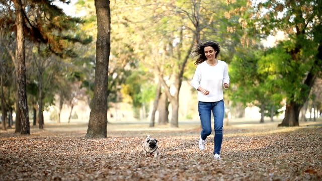 Woman walking pug in a park
