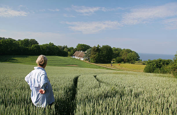 Woman enjoying her  beautiful land and house in  Denmark stock photo