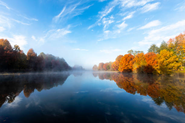 istock Mist on the water and autumn colored trees 1127820743