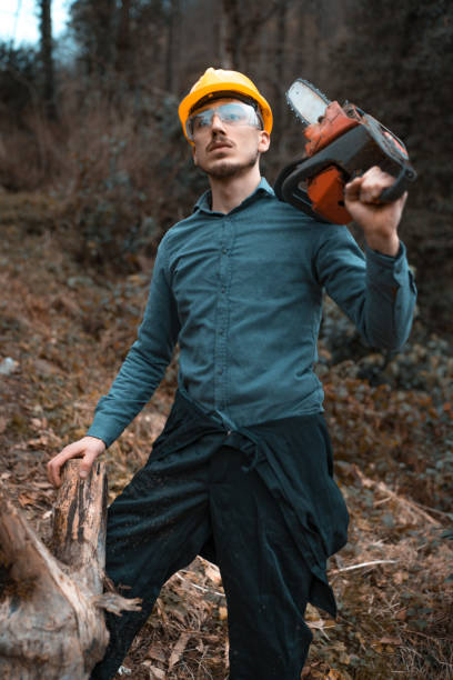 A neatly stacked woodpile accompanied by a chainsaw and an axe, ideal for preparing firewood outdoors