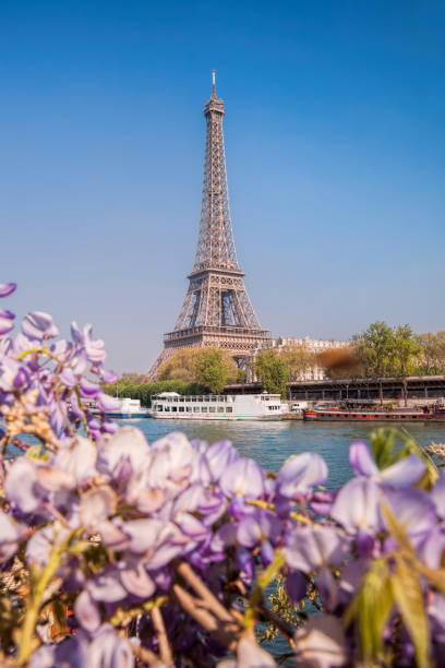 istock Eiffel Tower with boats during spring time in Paris, France 1127822230