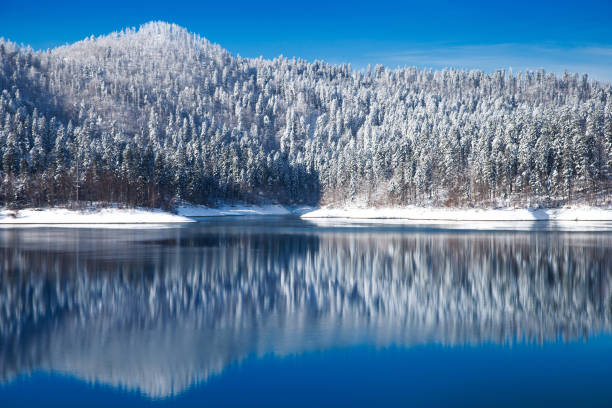 istock Croatian winter landscape on lake 1127824199