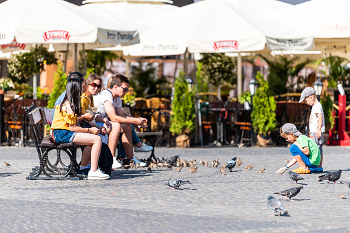 Warsaw, Poland - August 23, 2018: Old town market square with historic cobblestone street during summer day and young feeding birds sitting on bench