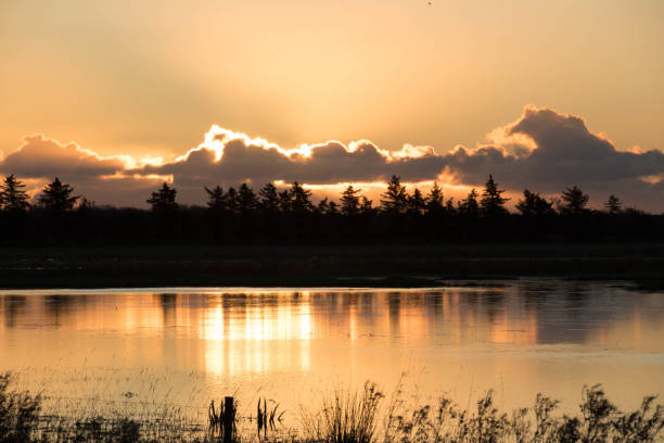 istock Sunrise over a flooded field 1127826378