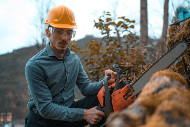 istock Man cutting wood in forest petrol chainsaw 1127826396