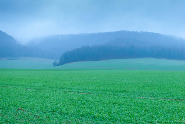 un campo verde con montañas brumosas en la espalda - landscape landscaped tennessee mist fotografías e imágenes de stock