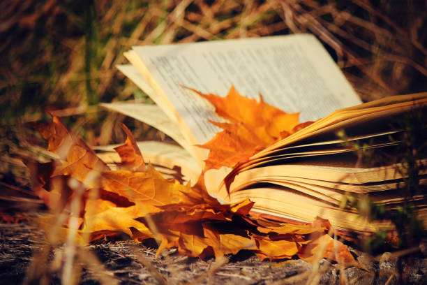 istock Autumn leaves and a book. Selective focus. 1127831509