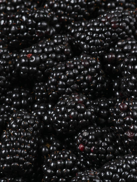 istock Many blackberries, background of berries, top view 1127832756