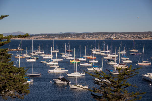 Boats sit at anchor in Monterey Harbor with Fisherman's Wharf in the background.
