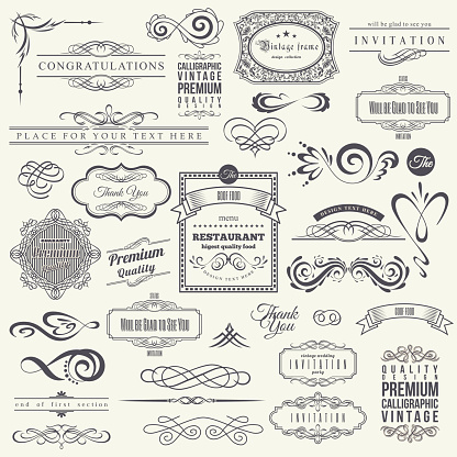 Calligraphic Design Elements and Frames. Vintage Collection. Vector