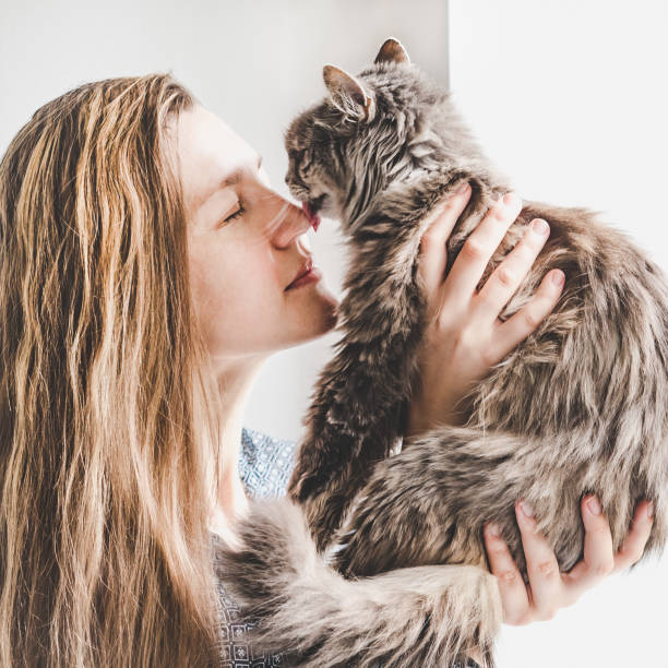 istock Young woman holding a cute, adorable kitten 1127840403