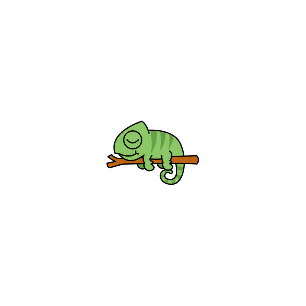 Lazy Chameleon Sleeping On A Branch Cartoon Vector Illustration Stock  Illustration - Download Image Now - iStock