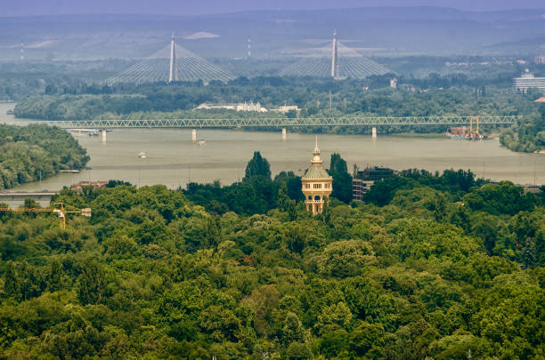 Margaret Island Margaret Island is the heart of Budapest, in Hungary. margitsziget stock pictures, royalty-free photos & images