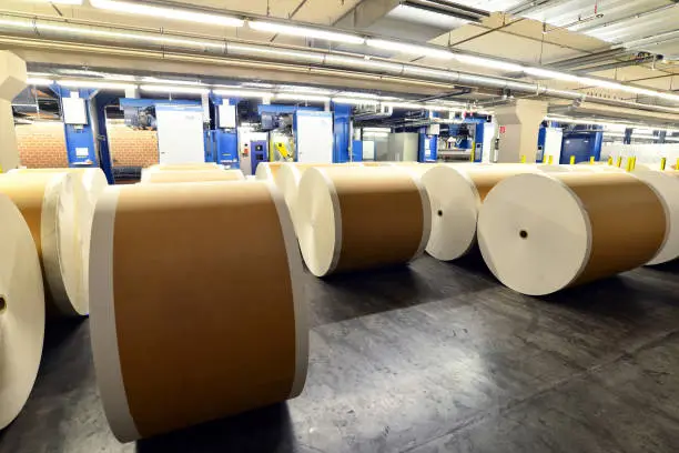 Photo of paper rolls and offset printing machines in a large print shop for production of newspapers & magazines