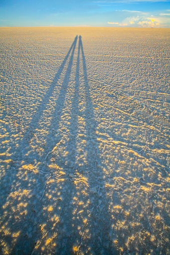 Long shadows of people at dusk in the Salar de Uyuni (Uyuni Salt Falt) in southwest Bolivia. The Salar de Uyuni is the world's largest salt flat at 10,582 sq km (4,086 sq m) at an elevation of 3,656 m (11,995 ft). It is covered by several meters of salt crust that contains 50% to 70% of the world's known lithium reserves. Its stunning landscapes, flora and fauna, with several species of flamingos, make it one of the main tourist attractions of the country. It is also a major transport route across the Altiplano.