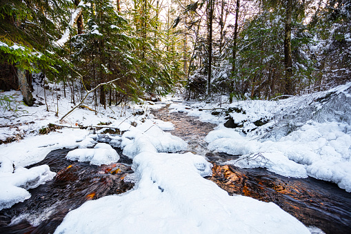 Winter wonder land  in forest with a river, creek
