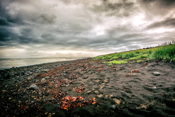landscapes iceland south coast