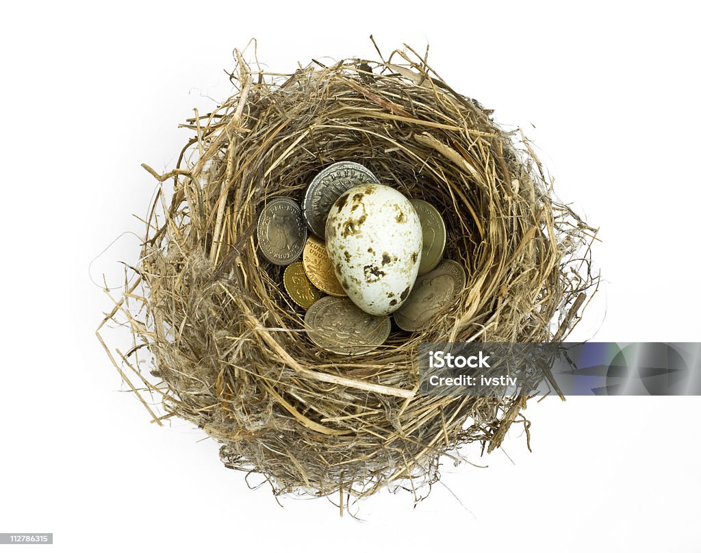 Reforma Nest Egg (expressão inglesa) - Royalty-free Branco Foto de stock