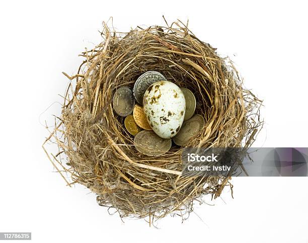 Reforma Nest Egg - Fotografias de stock e mais imagens de Branco - Branco, Bulgária, Conceito