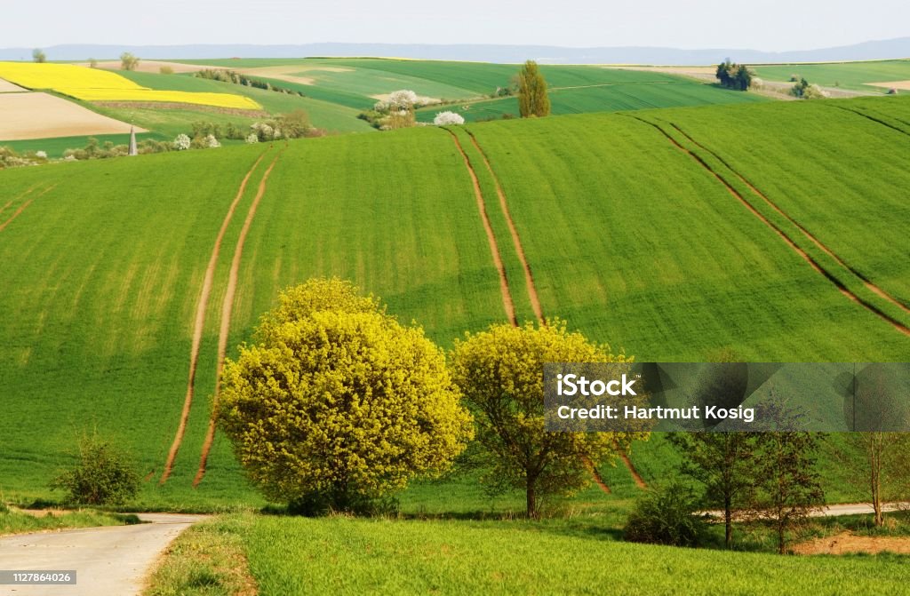 spring The land awakens and begins to bloom Agricultural Field Stock Photo