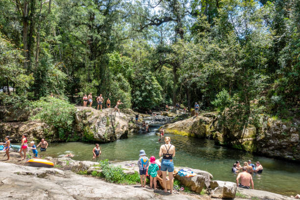 пловцы собираются вдоль бассейна allyn river rock pool area. - rainforest forest river australia стоковые фото и изображения