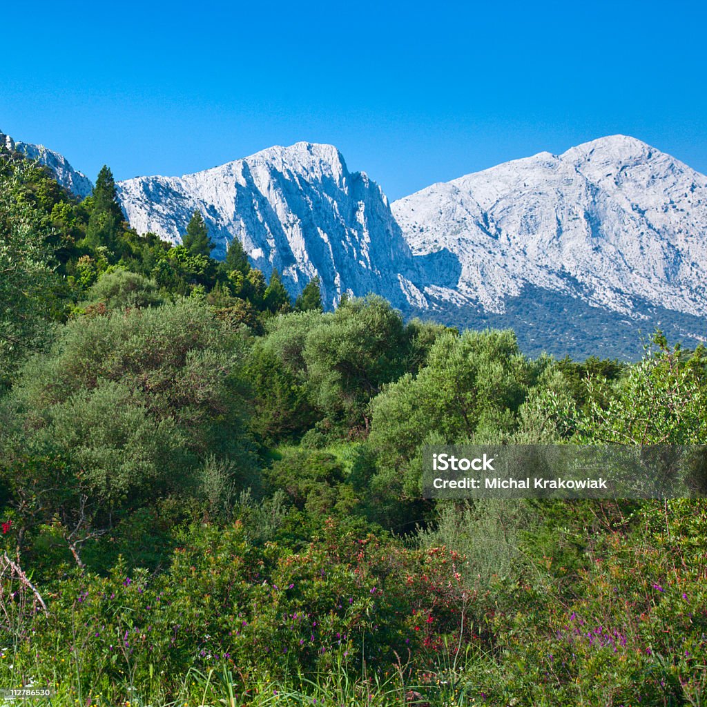 Berge und den Wald - Lizenzfrei Sardinien Stock-Foto