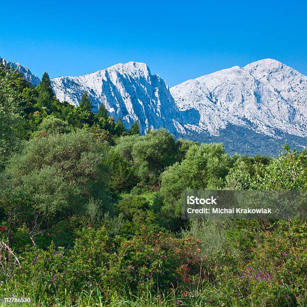 Berge Und Den Wald Stockfoto und mehr Bilder von Sardinien - Sardinien, Anhöhe, Baum
