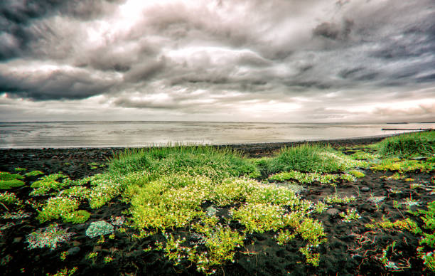 landscapes iceland south coast