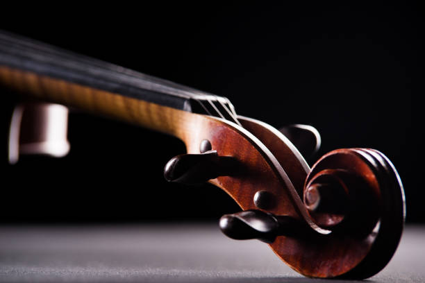 istock neck violin close up on a black background 1127866617