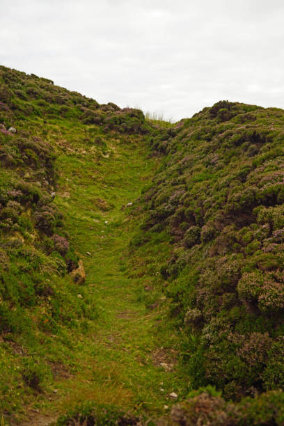 istock Wild Atlantic Way Slieve League 1127869701