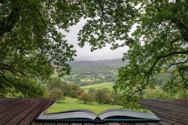 landscape image of view from precipice walk in snowdonia overlooking barmouth and coed-y-brenin forest coming out of pages in magical story book - wales mountain mountain range hill imagens e fotografias de stock