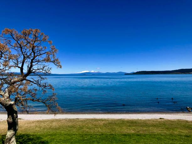 Lakeshore Taupo