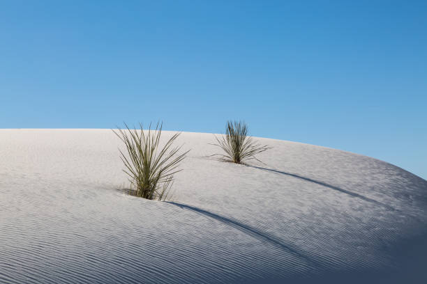 istock Evening Shadows in White Sands Desert National Monument 1127871537