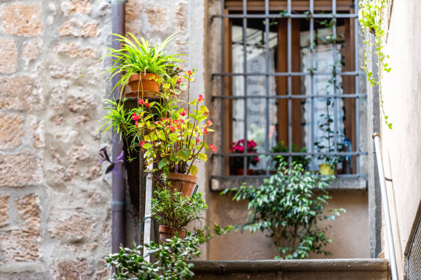 orvieto, italy alley street in small historic medieval town village in umbria with nobody green plants colorful flowers and steps up to house with window - 11262 imagens e fotografias de stock