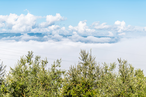 Mountain mist fog in Umbria and Tuscany in Italy with soft clouds inversion covering blanketing in summer with power lines and olive trees