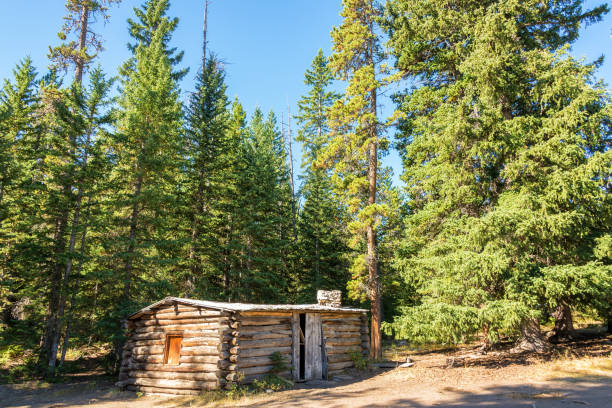 istock Abandoned Homestead Cabin 1127876717