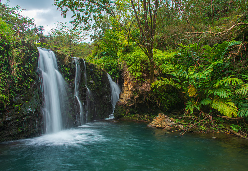 Marmore waterfall and green forest