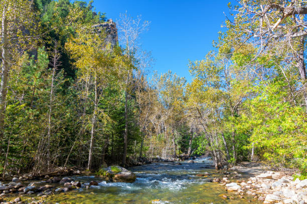 sul piney creek - bighorn national forest blue wyoming green - fotografias e filmes do acervo