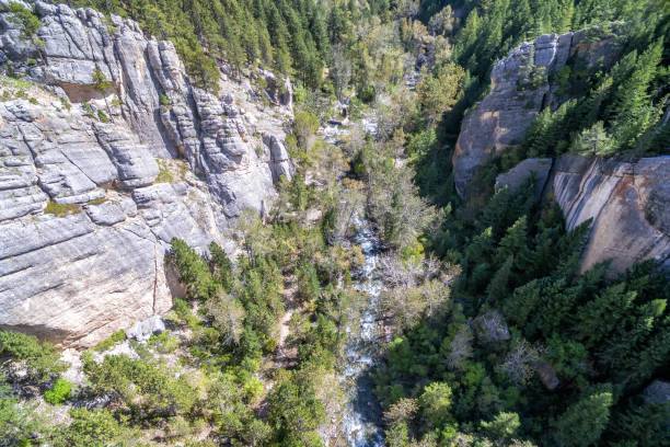 vista aérea do sul piney creek - bighorn national forest blue wyoming green - fotografias e filmes do acervo